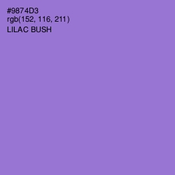 #9874D3 - Lilac Bush Color Image